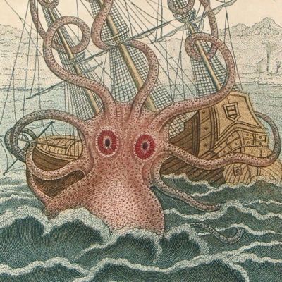 image for Cephalopoda