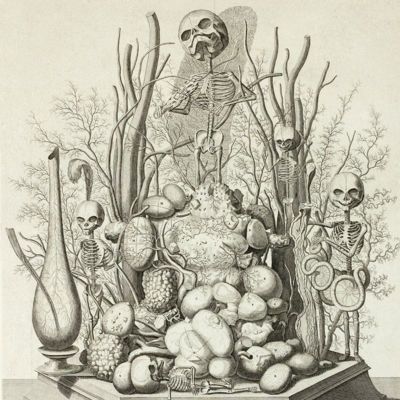 image for Wunderkammer Prints