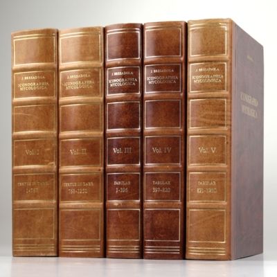 Iconographia mycologica et supplementum. I-V. [Complete].