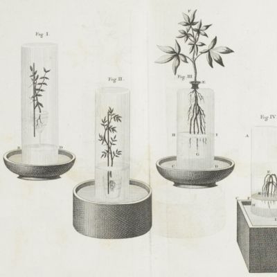 Recherches chimiques sur la végétation.