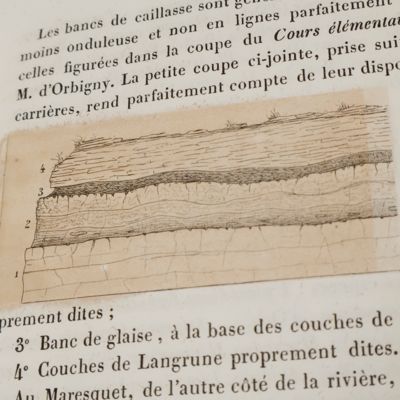 Études sur les étages Jurassiques inférieurs de la Normandie.