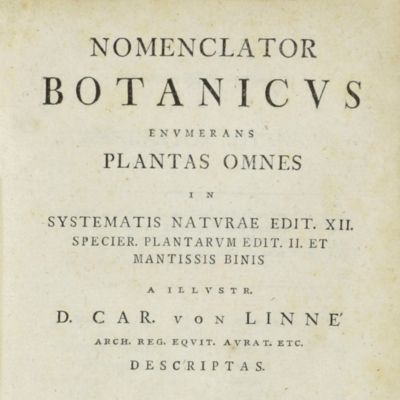 image for Nomenclator botanicus enumerans plantas omnes in Systematis Naturae edit. XII. Specier. plantarum edit. II. et mantissis binis a illustr. D. Car. von Linné arch. reg. equit. aurat. etc. descriptas.