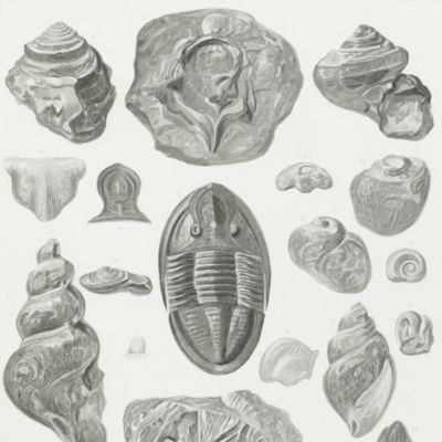 Report of a geological survey of Wisconsin, Iowa and Minnesota; and incidentally of a portion of Nebraska territory. Made under instructions from the United States Treasury Department [AND] Illustrations to the geology report of Wisconsin, Iowa, and Minnesota.