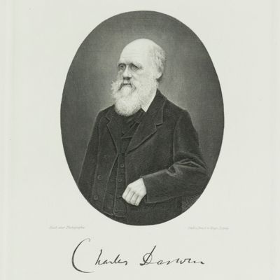 Portrait. Oval engraving by Weger.