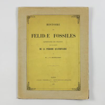 image for Histoire des Felidae fossiles constatés en France dans les dépots de la période quaternaire.