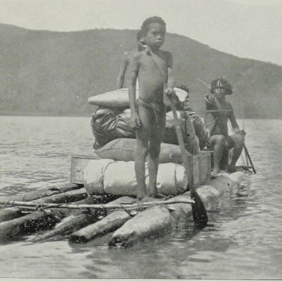 Dutch N.W. New Guinea. A contribution to the phytography and flora of the Arfak Mountains, &c.