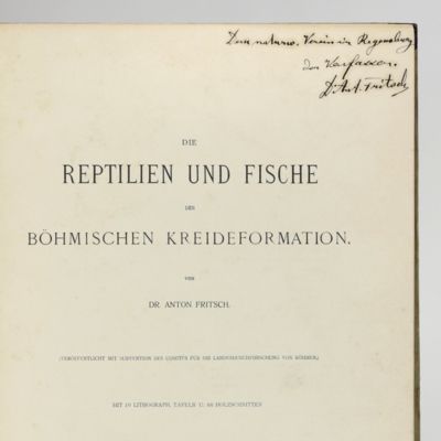 image for Die Reptilien und Fische der böhmischen Kreideformation.