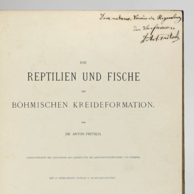 Die Reptilien und Fische der böhmischen Kreideformation.