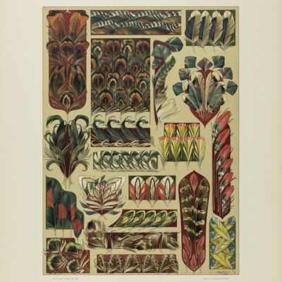 image for Das Thier in der decorativen Kunst. Plate 20 [Feathers]