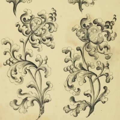 [18th-century floral design].