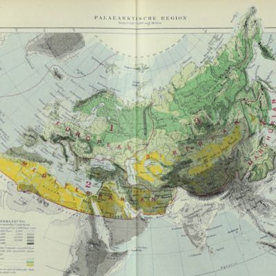 Die geographische Verbreitung der Thiere, nebst einer Studie über die Verwandtschaften des lebenden und ausgestorbenen Faunen in Ihrer Beziehung zu den früheren Veränderungen der Erdoberfläche.