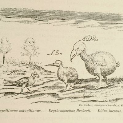 image for Titres et travaux scientifiques de M. Guillaume Grandidier.