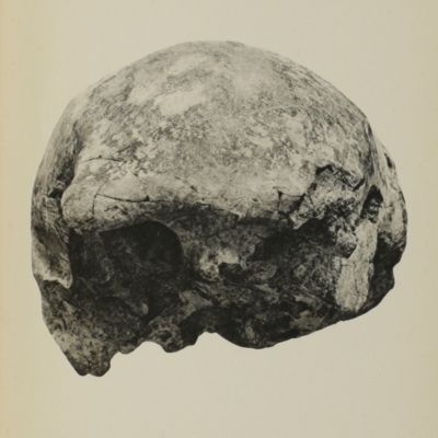 image for <em>Homo ( <em>Javanthropus</em>) <em>soloensis</em>, n. subg. n. sp. Eene Plistoceene Mensch van Java. Voorlopige Mededeeling.</em>