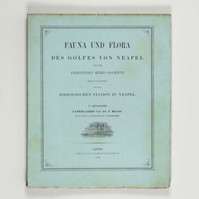 Fauna und Flora des Golfes von Neapel und der angrenzenden Meeres-Abschnitte herausgegeben von der zoologischen Station zu Neapel. VI. Monographie: Caprelliden.