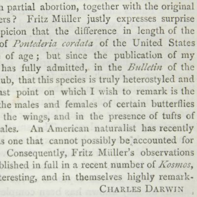 [Letter to the editor] Fritz Müller on flowers and insects.