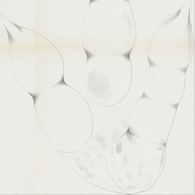 An attempt to discriminate and describe the animals that made the fossil footmarks of the United States, and especially of New England.