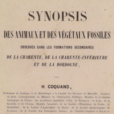 image for Synopsis des animaux et des végétaux fossiles observés dans les formations secondaires de la Charente, de la Charente-inférieure et de la Dordogne.