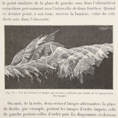 image for Physiologie des mouvement. Le vol des oiseaux. Avec 1 planche et 164 figures dans le texte.
