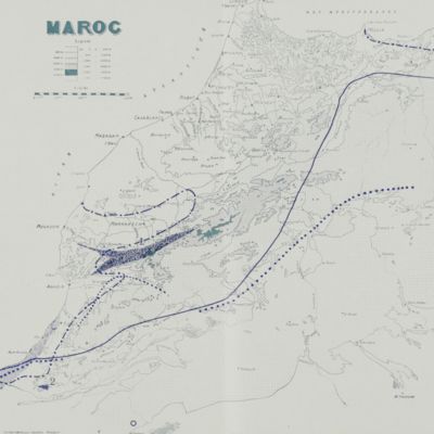Les lacertiliens du sud-ouest Marocain. Systematique - Repartition geographique - Ethologie - Ecologie.