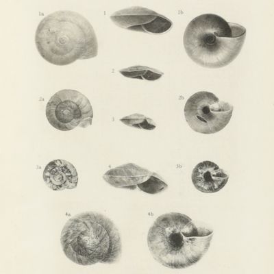 Zoological results of the Abor Expedition, 1911-12.
