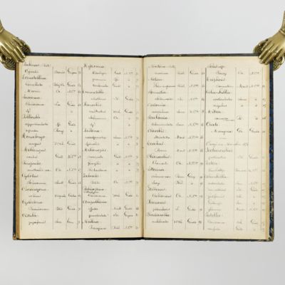 Catalogo delle conchiglie componenti la collezione Rigacci. Parte prima. Conchiglie viventi. [AND] Necrologia di Giovanni Rigacci.