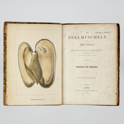 image for Die Perlmuscheln und ihre Perlen naturwissenschaftlich und geschichtlich mit Berücksichtigung der Perlengewässer Bayerns.