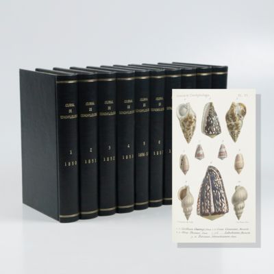 image for Journal de Conchyliologie. Volumes 1-10 (1st series; 2nd series; AND 3rd series, Volumes 1-2).