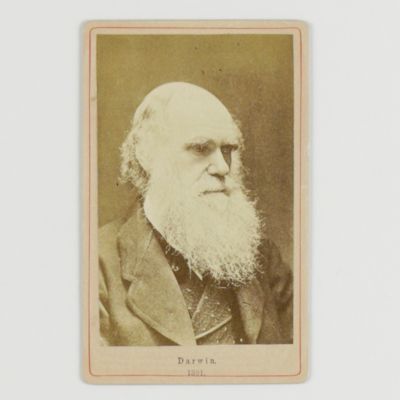 Portrait of Darwin - Rare carte de visite.