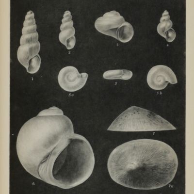 Calvin Goodrich. Complete Miscellaneous papers.