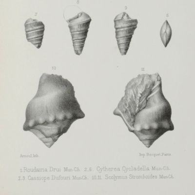 Extraits de la Mission de M. le Commandant Roudaire dans les Chotts Tunisiens (1878-1879). I. hydrologie, géologie et paléontologie. II. Paléontologie. Description des espèces nouvelles.