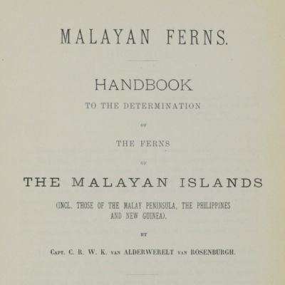 image for Malayan Ferns. Handbook to the determination of the ferns of the Malayan Islands (incl. those of the Malay Peninsula, the Philippines and New Guinea).  [AND] (Correcting sheet).
