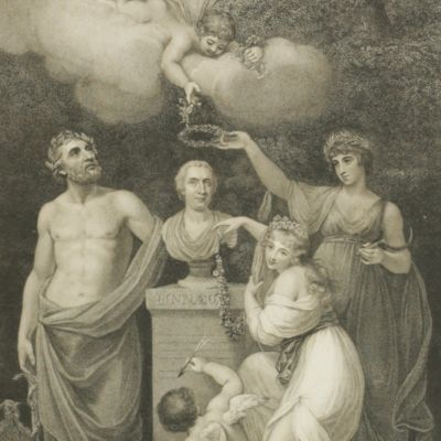 Cupid, Flora, Ceres, and Esculapius, Honouring the bust of Linnaeus.