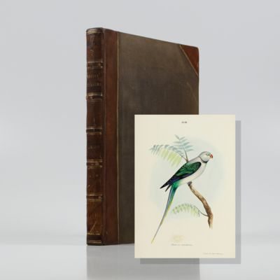 image for Illustrations of Indian Ornithology.