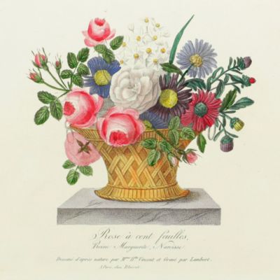 image for Collection de 24 bouquets de fleurs.