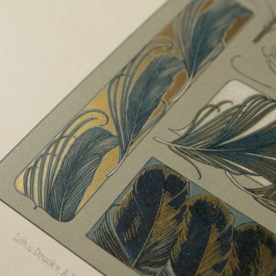 Das Thier in der decorativen Kunst. Plate 29 [feathers]