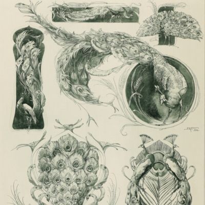 Das Thier in der decorativen Kunst. Plate 27 [peacocks and feathers]
