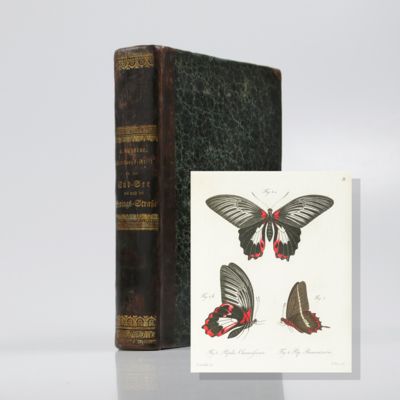 Entdeckungs-Reise in die Süd-See und nach der Berings-Strasse zur Erforschung einer nordöstlichen Durchfahrt. Unternommen in den Jahren 1815-1818 auf Kosten Sr. Erlaucht des Herrn Reichs-Kanzlers Grafen Rumanzoff auf dem Schiffe Rurick.