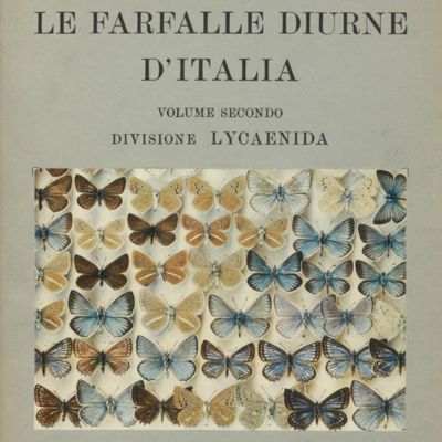 image for La farfalle diurne d'Italia. Volumes 1 - 4.
