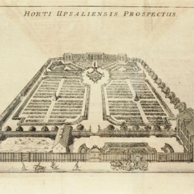 image for Hortus Upsaliensis, quem cum consensu ampliss. facult. medicae in regio ad salam lyceo, sub praesidio viri celeberrimi, d:ni doct. Caroli Linnaei, med. et botan. profess. reg. et ord. acad. imper. Regg. Monspel. Stoch. et Upsal. socio hujusque secretario. Speciminis academicvi loco, publicae disquisitioni subjicit Samuel Naucler.