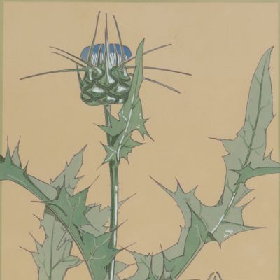 Les Fleurs et Leurs Applications Decoratives. Plate 13.