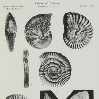 Révision des espèces décrites dans la "Monographie des Ammonites" (Lias Inférieur) de P. Reynès.<em></em>