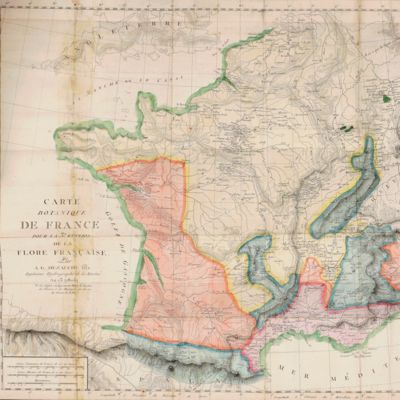 image for Flore française, ou descriptions succinctes de toutes les plantes qui croissent naturellement en France, disposées selon une nouvelle méthode d'analyse, et précédées par un Exposé des Principes élémentaires de la Botanique. Troisième édition, augmentée du Tome V, ou sixième volume, contenant 1300 expèces non décrites dans les cinq premiers volumes. Ouvrage accompagné d'une grande Carte Botanique coloriée, et orné de 11 planches contenant environ 200 figures. [AND] Synopsis plantarum in flora Gallica descriptarum.