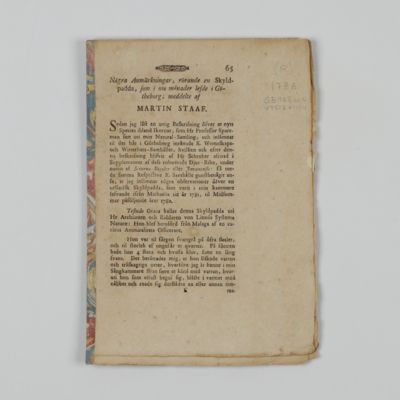 Några Anmärkningar, rörande en Skyldpadda, som i nio månader lefde i Götheborg. [AND] Viverra Vengreniana, Beskrifven.