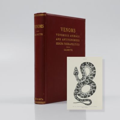 image for Venoms. Venomous animals and antivenomous serum-therapeutics. Translated by Ernest E. Austen, F.Z.S.