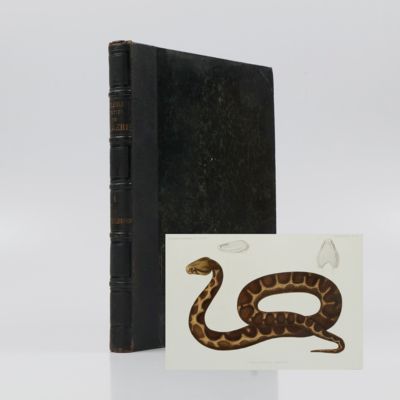 image for Exploration scientifique de l'Algérie, pendant les années 1840, 1841, 1842 publiée par ordre du gouvernement et avec le concours d'une commission académique. Sciences physiques. Zoologie. V. Histoire naturelle des reptiles et des poissons.