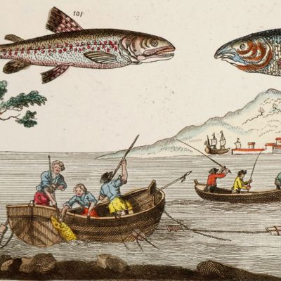 Unterhaltungen aus der Naturgeschichte. Der Fische.