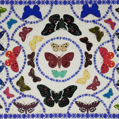 image for Les Lépidoptères.