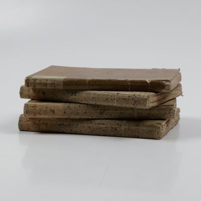 image for Literaturberichte zur Flora oder allgemeinen botanischen Zeitung. Volumes 1-4.