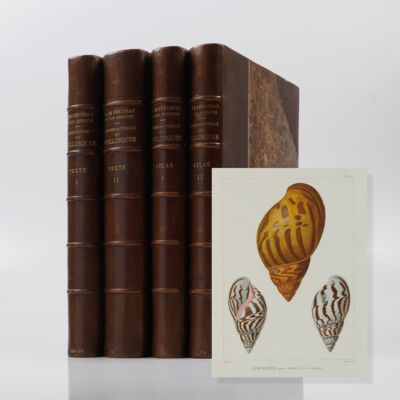image for Histoire Naturelle générale et particulière des Mollusques Terrestres et Fluviatiles. Tant des espèces qui l'on trouve aujourd'hui vivantes, que des dépouilles fossiles de celles qui n'existent plus; classés d'après les caractères essentiels qui présentent ces animaux et leurs coquilles. [Large paper copy. Text and atlases, complete].